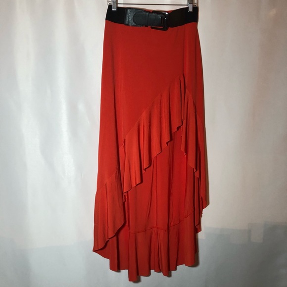 Dresses & Skirts - The Amazing High Low Skirt